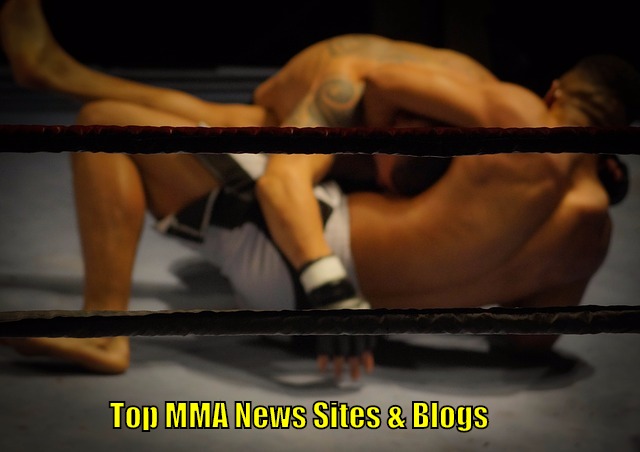 Top 9 Mixed Martial Arts (MMA) News Sites